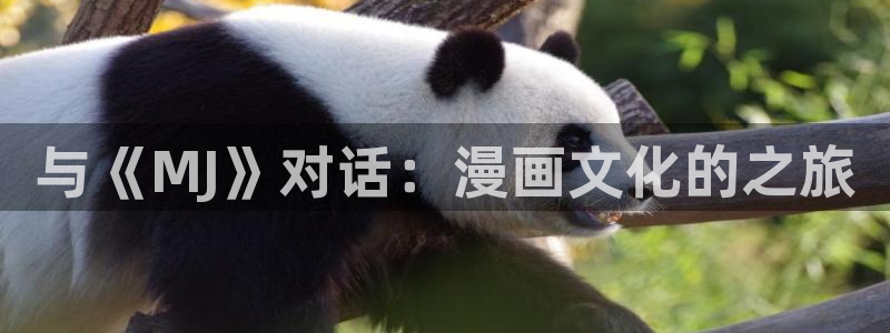 飞飞漫画下载：与《MJ》对话：漫画文化的之旅