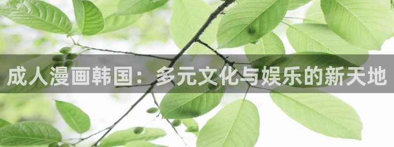 飞飞漫画 下载：成人漫画韩国：多元文化与娱乐的新天地